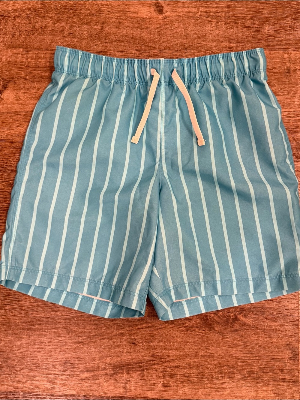 Cat & Jack Teal and White Vertical Stripe Hybrid Shorts